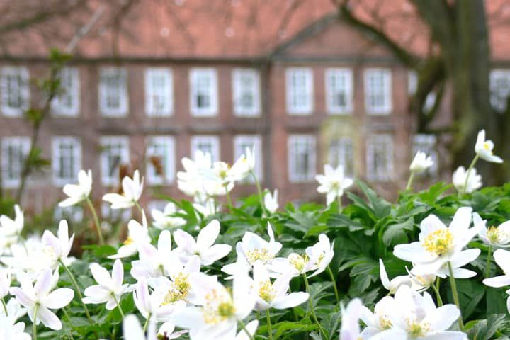 Schloss Dreilützow im Frühling