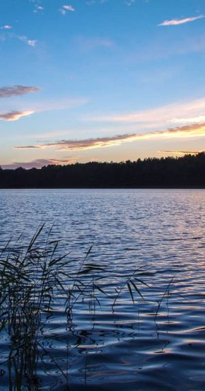 Müritz im Sommer