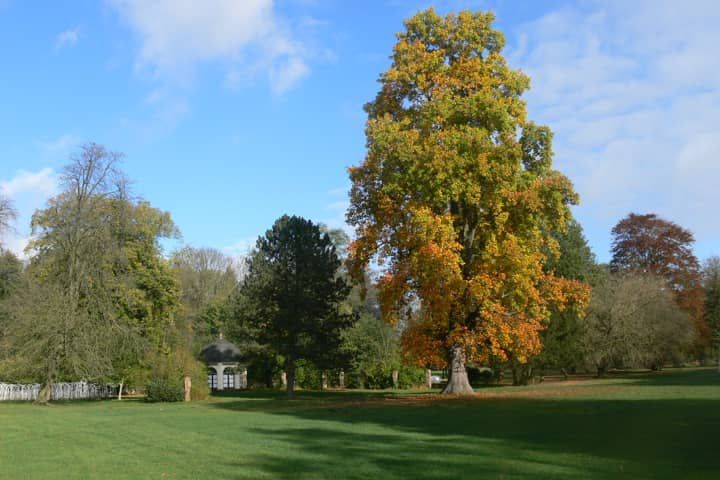 Schlosspark