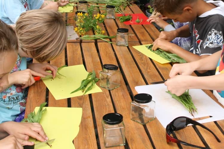 Hinterste Mühle Kräuterhexerei