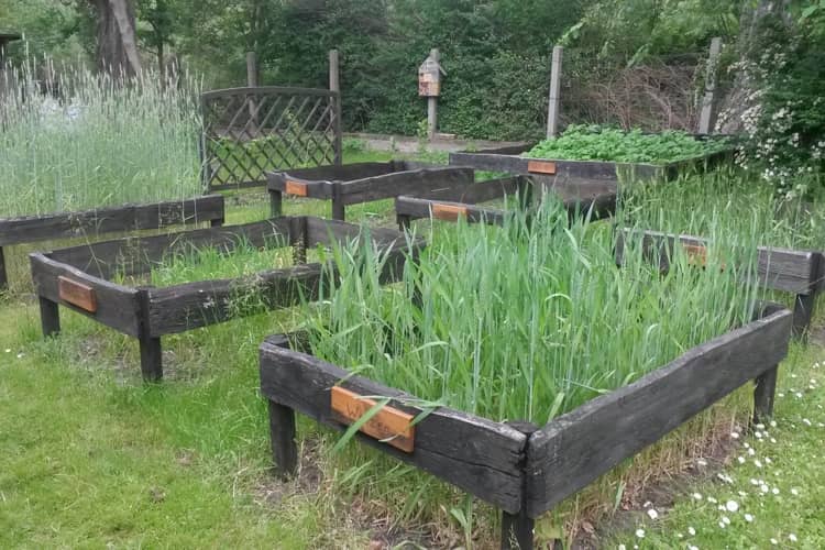 Hinterste Mühle Lehrgarten