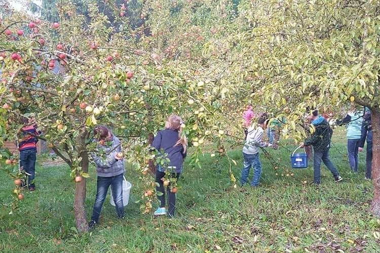 Hinterste Mühle Streuobstwiese