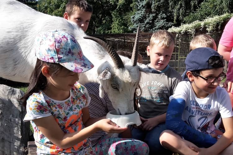 Hinterste Mühle Tierhof-Safari