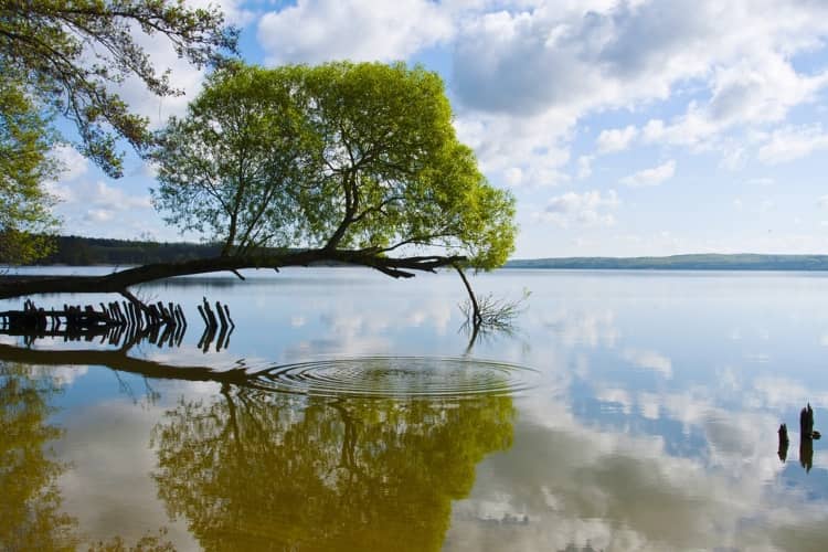 Tollensesee Neubrandenburg