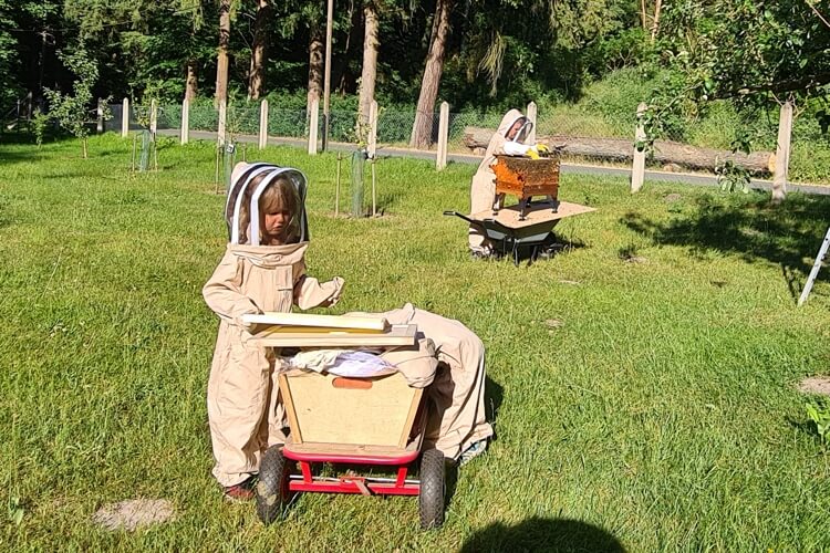 Jugendschloß Neu Sammit Honigernte