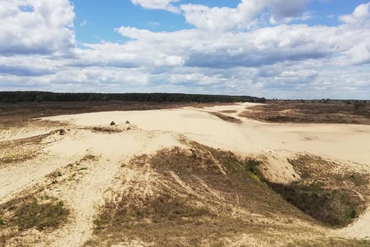 Waldschule Alt Jabel Binnendüne bei Klein Schmölen