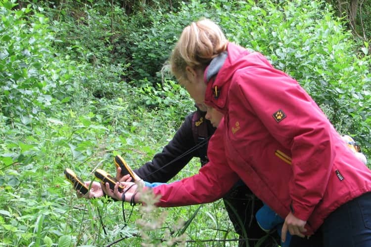 Waldschule Alt Jabel Geocaching