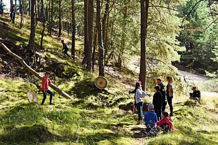 Waldschule Alt Jabel Lebensraum Wald
