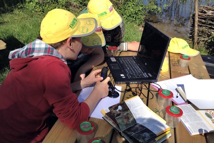 Gruppenunterkünfte mit Programm für den Frühling