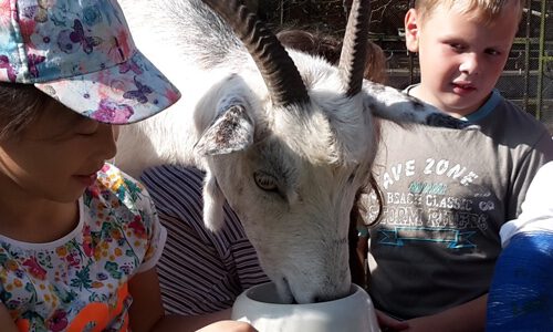 Landwirtschaft-Programme