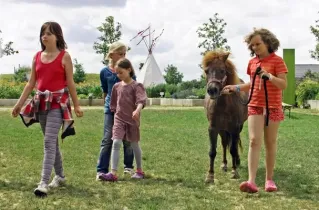Gruppenunterkunft MV - Landwerthof Schulbauernhof - Pony Salto