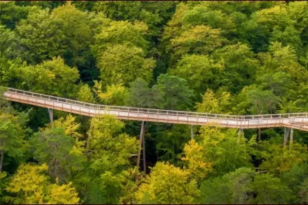 Baumwipfelpfad Usedom