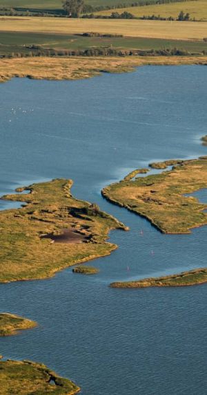 Boddenlandschaft