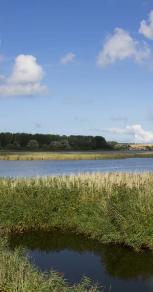 Rügen im Sommer