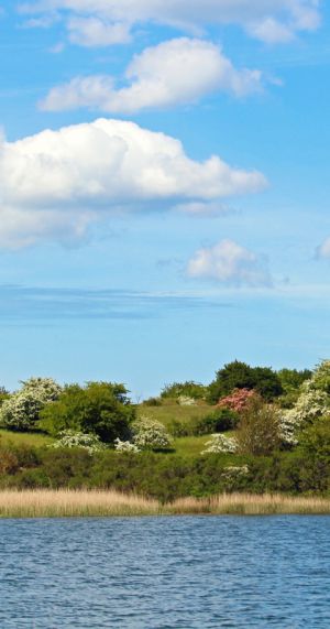 Rügen im Frühling