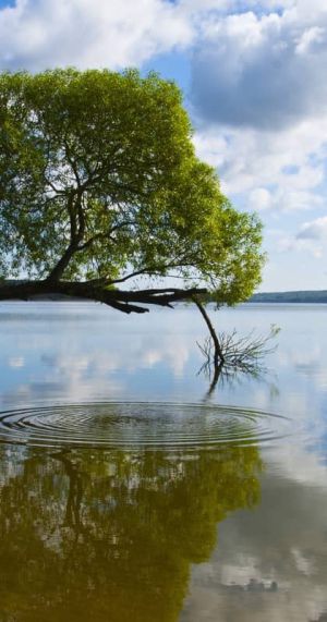 Tollensesee Neubrandenburg
