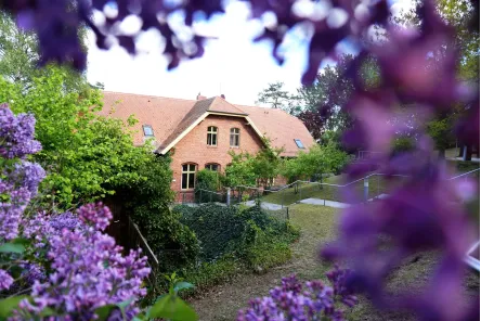 JBS Golm Alte Schule umrahmt von lila Blüten
