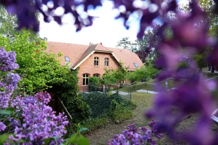 JBS Golm Alte Schule umrahmt von lila Blüten