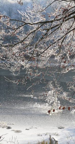 Mecklenburger Seenplatten im Winter