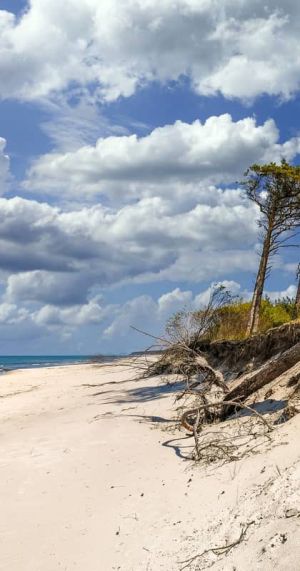 Strand auf dem Darß
