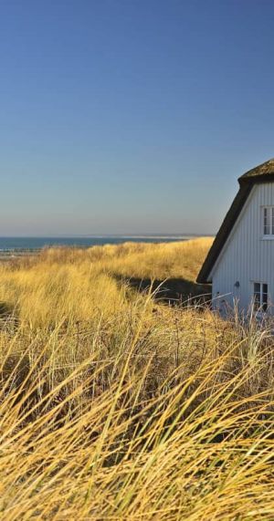 Ostseestrand bei Ahrenshoop