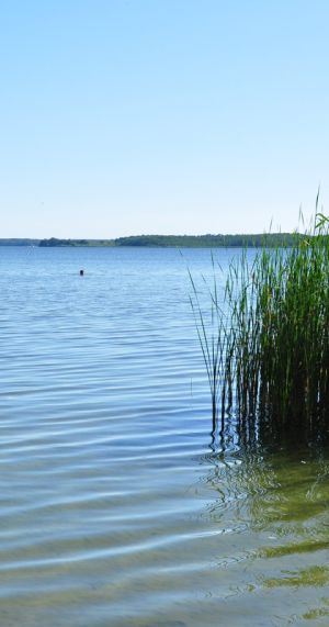 Plauer See im Frühling