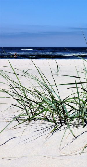 Ostsee im Frühling