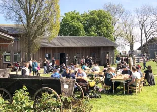 Gruppenunterkunft MV - Landwerthof Schulbauernhof - Sommer