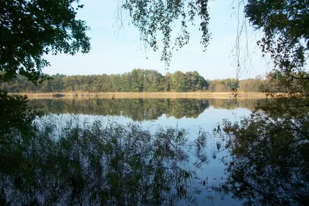 Kutzow-See