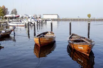 Gruppenunterkunft MV - Landwerthof Schulbauernhof - Sommer