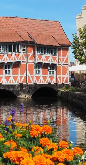 Gewölbe Wismar, Westmecklenburg