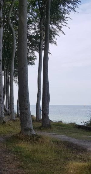 Ostseeküste bei Heiligendamm