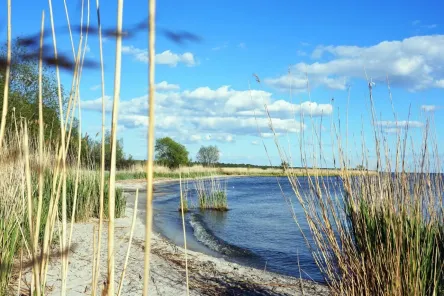 JBS Golm - Stettiner Haff