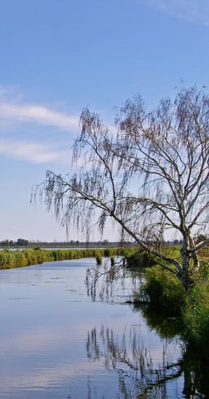 Kleines Haff bei Anklam